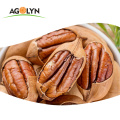 AGOLYN First Quality Roasted Salted pecan nut with shell